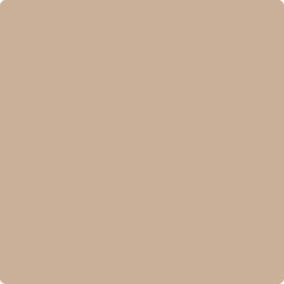 1082-Cream: Soda a paint color by Benjamin Moore avaiable at Clement's Paint in Austin, TX.