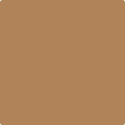 1091-Warm: Apple Crisp a paint color by Benjamin Moore avaiable at Clement's Paint in Austin, TX.