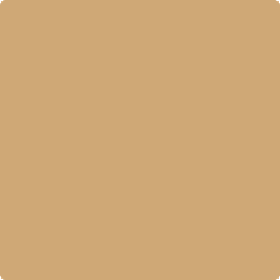 1103-Camel: Back a paint color by Benjamin Moore avaiable at Clement's Paint in Austin, TX.