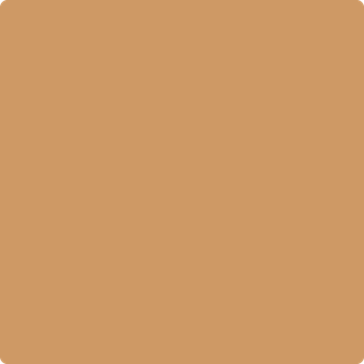 1146-Harvest: Bronze a paint color by Benjamin Moore avaiable at Clement's Paint in Austin, TX.