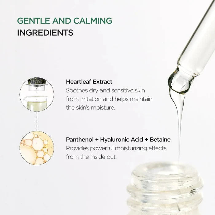 Anua HEARTLEAF 80% MOISTURE SOOTHING AMPOULE 30ml – Skin Care | Korean Skincare Canada - VGLE Beauty