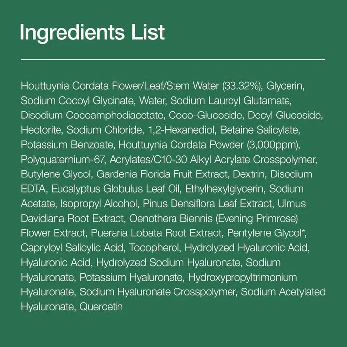 Anua Heartleaf Quercetinol Pore Deep Cleansing Foam 150ml Anua