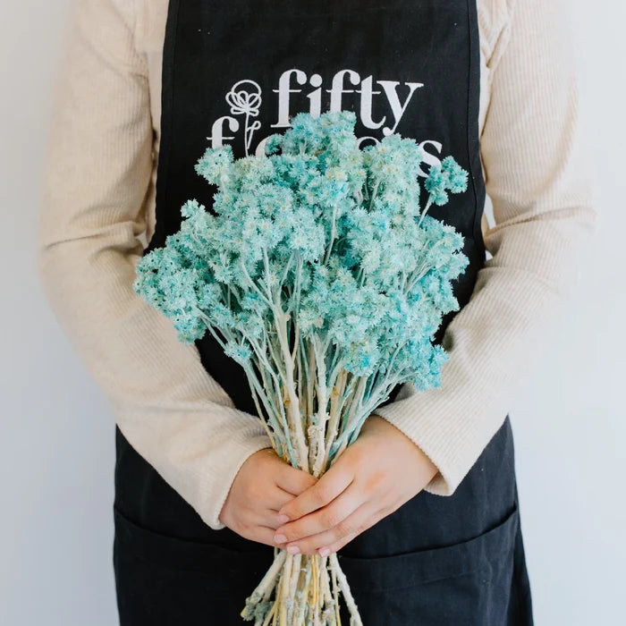 Baby Blue Dried Andrean Asters Apron - Image