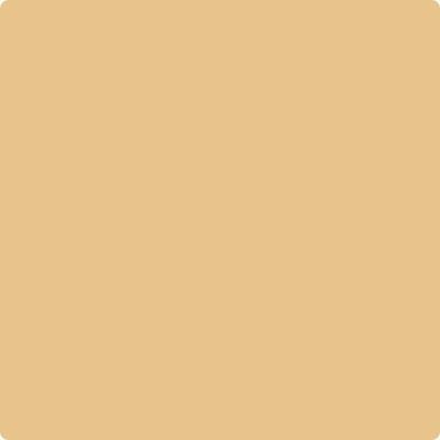 CC-242: Maple Fudge a paint color by Benjamin Moore avaiable at Clement's Paint in Austin, TX.
