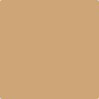 CC-274: Ginger Root a paint color by Benjamin Moore avaiable at Clement's Paint in Austin, TX.