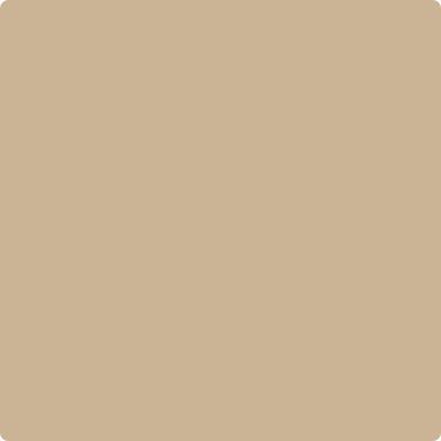 CC-338: Bluffs a paint color by Benjamin Moore avaiable at Clement's Paint in Austin, TX.