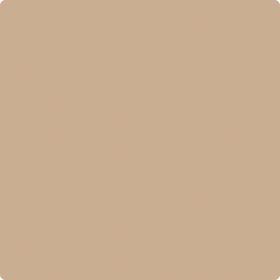CC-488: Biscotti a paint color by Benjamin Moore avaiable at Clement's Paint in Austin, TX.