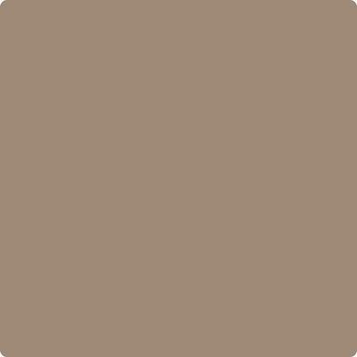 CC-514: Hiking Trail a paint color by Benjamin Moore avaiable at Clement's Paint in Austin, TX.