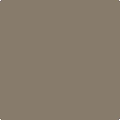 CC-540: Stampede a paint color by Benjamin Moore avaiable at Clement's Paint in Austin, TX.