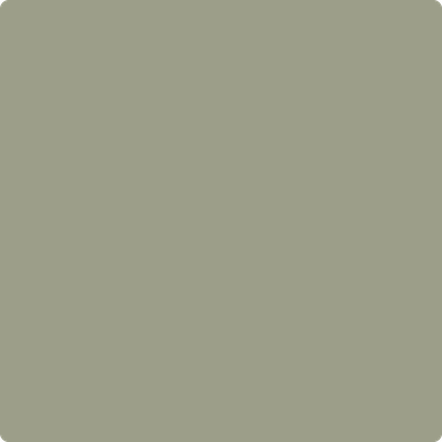CC-560: Raintree Green a paint color by Benjamin Moore avaiable at Clement's Paint in Austin, TX.