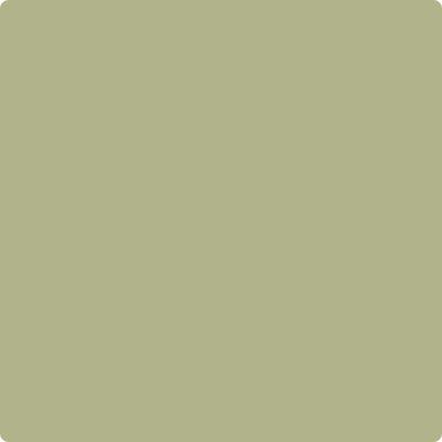 CC-590: Grasslands a paint color by Benjamin Moore avaiable at Clement's Paint in Austin, TX.
