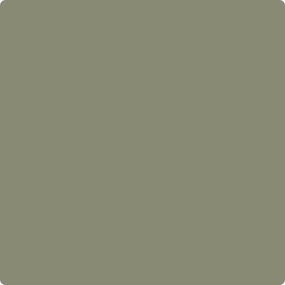 CC-722: Vineland a paint color by Benjamin Moore avaiable at Clement's Paint in Austin, TX.