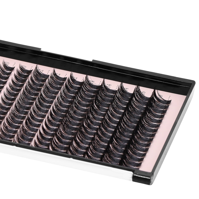 Dolly Wispy Lash Extensions D Curl