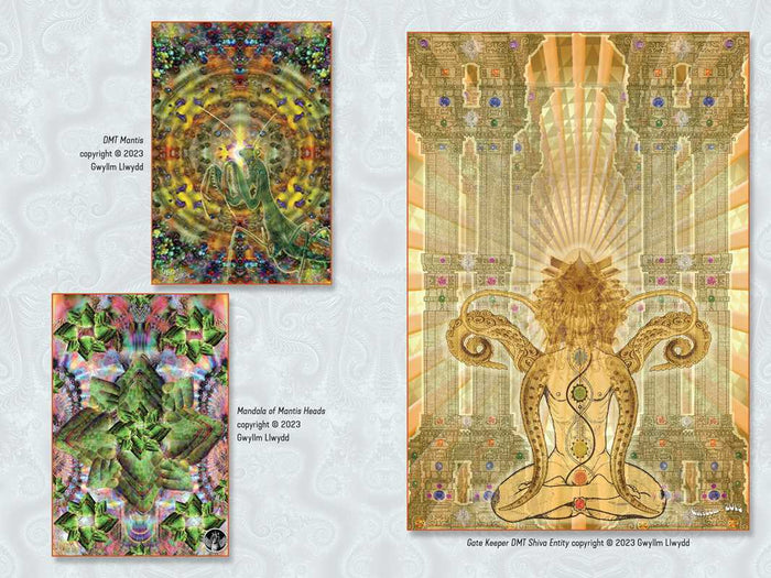 Psychedelic Buddhism by Lama Mike Crowley: Paperback; 328 pages / English