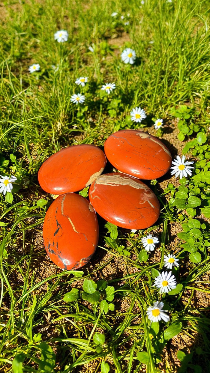 Shop Red Jasper Palm Stones at Raven’s Cauldron. Each 80g stone, ~2.75 inches long, is mined in Brazil and polished to showcase beautiful reds and whites. Perfect for grounding and healing.