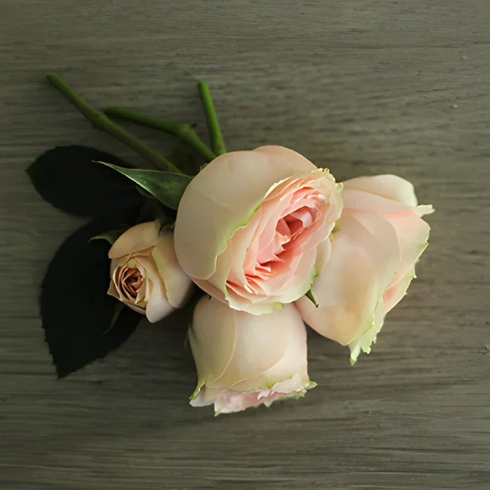 Pink Spray Rose Stem laying down