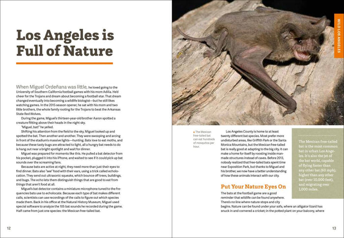 Open Wild LA booklet pages with Los Angeles nature heading and bat photo