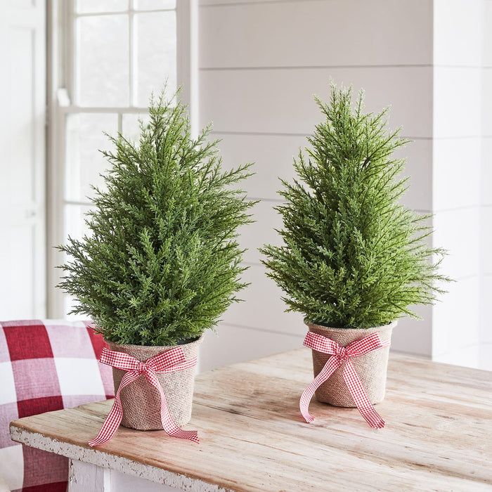 55cm Fir Mini Christmas Tree
