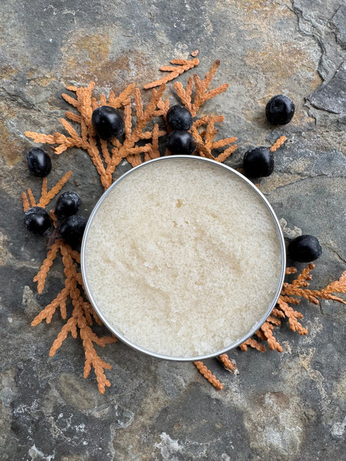 Tallow Sugar Cookie Lip Scrub 1 oz.  (NEW)