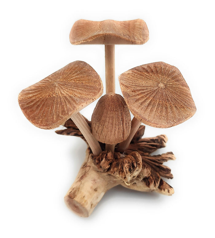 A Lost Art - Hand Carved Extra Small Wooden Mushroom