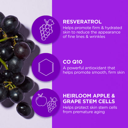 Age Defying Resveratrol Q10 Night Repair Cream - Andalou Naturals US