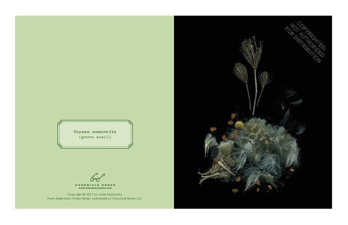 Cookbook back cover with floral still life and small recipe text