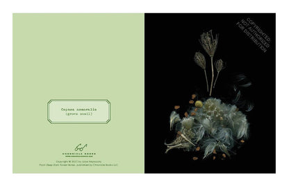 Cookbook back cover with floral still life and small recipe text