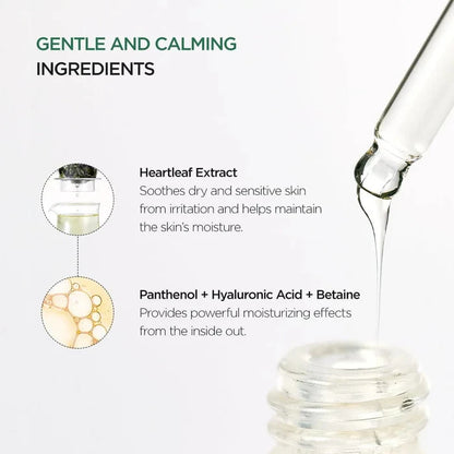 Anua HEARTLEAF 80% MOISTURE SOOTHING AMPOULE 30ml – Skin Care | Korean Skincare Canada - VGLE Beauty