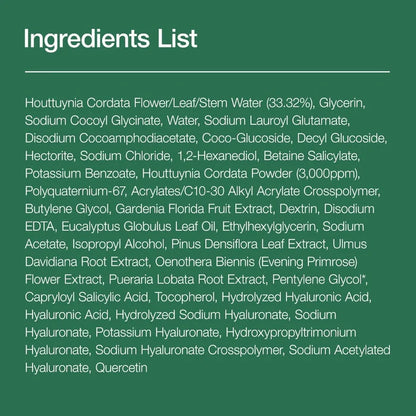 Anua Heartleaf Quercetinol Pore Deep Cleansing Foam 150ml Anua