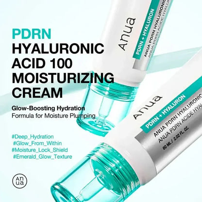 Anua PDRN Hyaluronic Acid 100 Moisturizing Cream 60ml – Skin Care | Korean Skincare Canada - VGLE Beauty