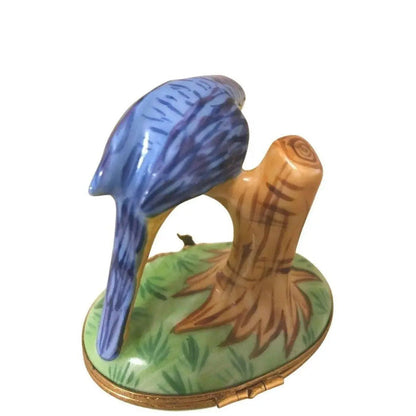 Blue Maccaw Porcelain Limoges bird birds French Trinket Box