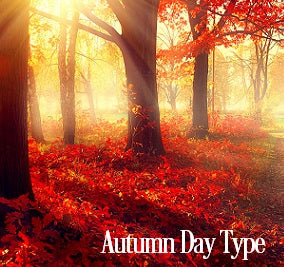 Autumn Day Fragrance Oil 19792