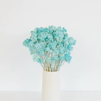 Baby Blue Dried Andrean Asters Vase - Image