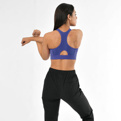 Back Mesh Sports Bra