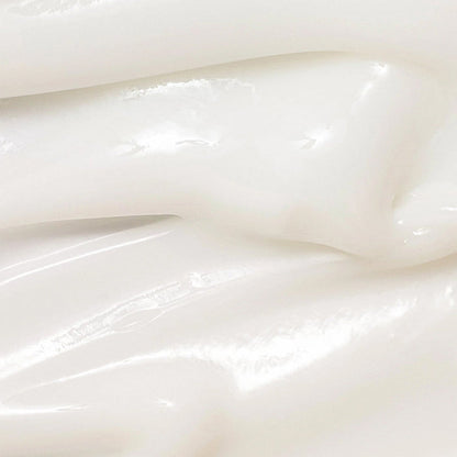 Beauty of Joseon Dynasty Cream 1.69oz/ 50ml - ikatehouse