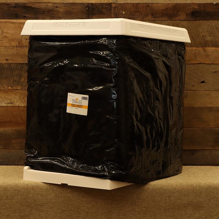 Bee Cozy 2 Story Deep (10 Frame)