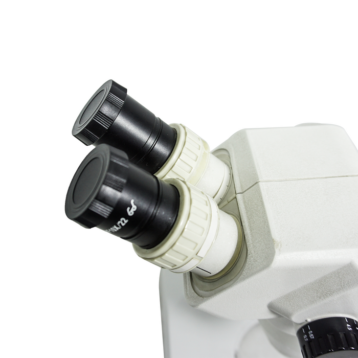Black Plastic Cover Eyepiece Dust Cover(Pair Dia. 34mm)