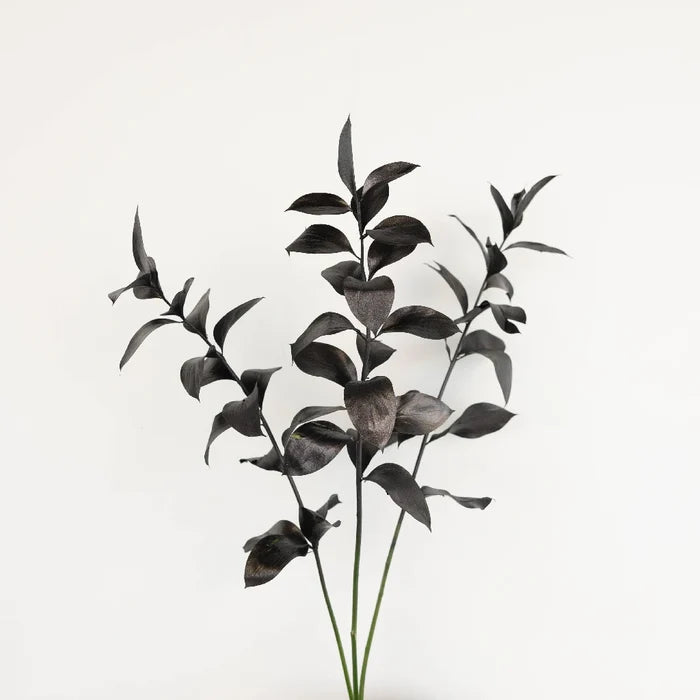 Black Tinted Ruscus Greenery Stem - Image