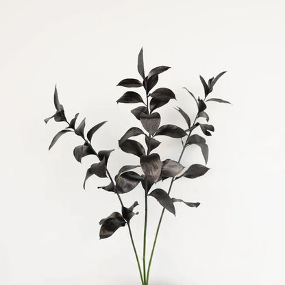 Black Tinted Ruscus Greenery Stem - Image