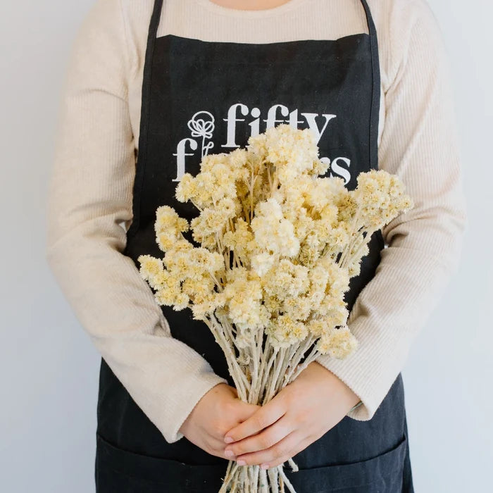 Bleached Dried Andrean Asters Apron - Image