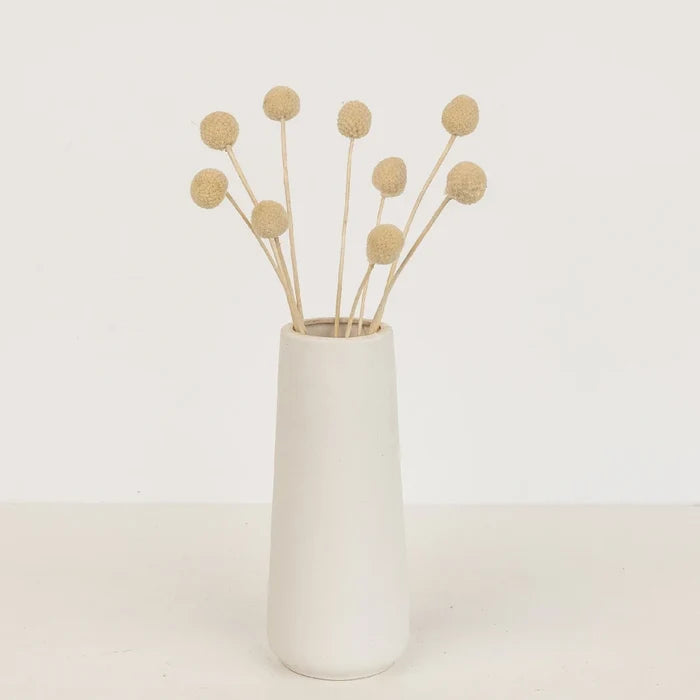 Bleached Dried Craspedia Billy Balls Vase - Image