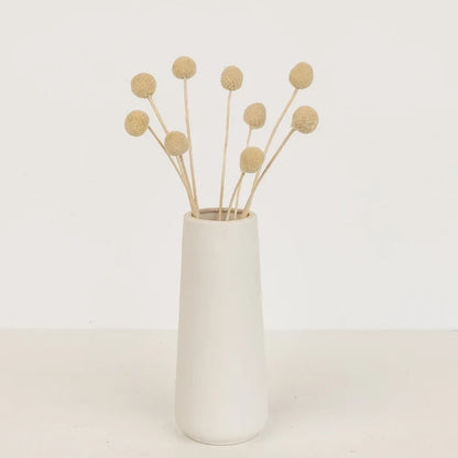 Bleached Dried Craspedia Billy Balls Vase - Image