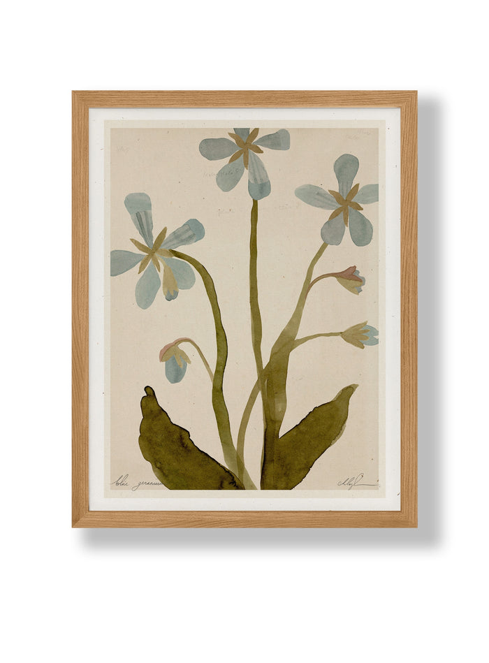 Framed 8.5x11 botanical print with blue geranium flowers and green leaves