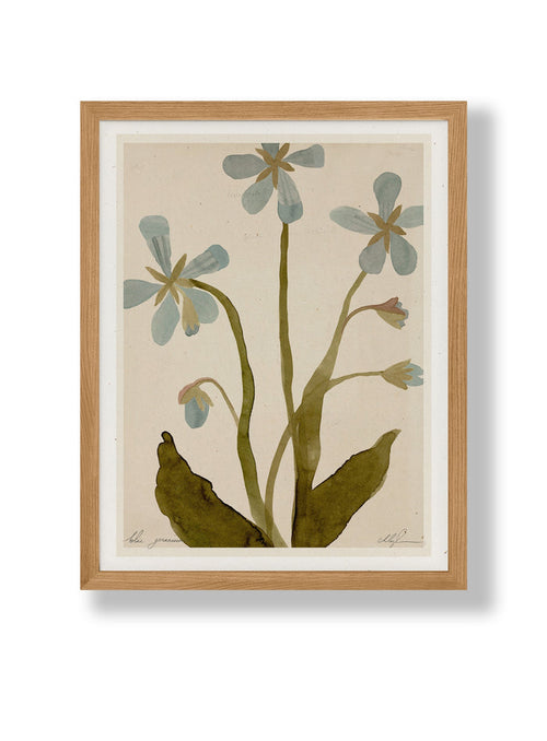 Framed 8.5x11 botanical print with blue geranium flowers and green leaves