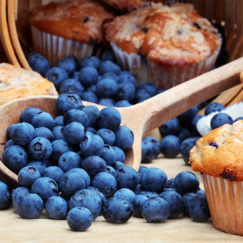 Blueberry Muffin Fragrance Oil 785