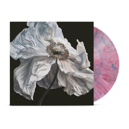 A limited edition vinyl with a pink and white marbled pattern is partially out of its sleeve, which features a detailed painting of a white, wilting flower on a black background.