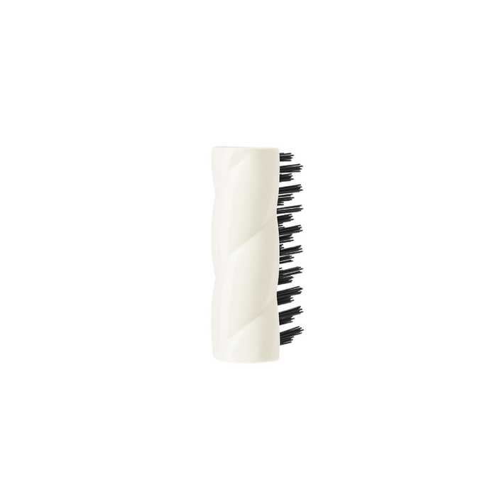 Brush Cleaning Tool