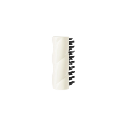 Brush Cleaning Tool