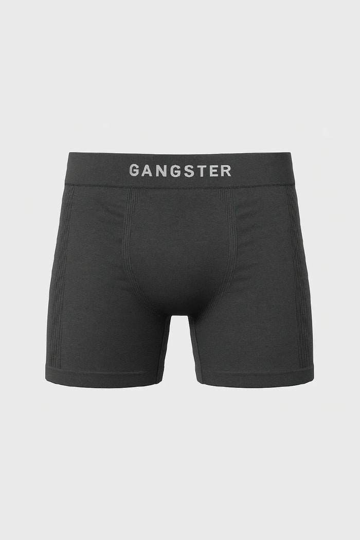 Calzoncillo Calzoncillo Poliamida Duo Gris/Blanco - Gangster