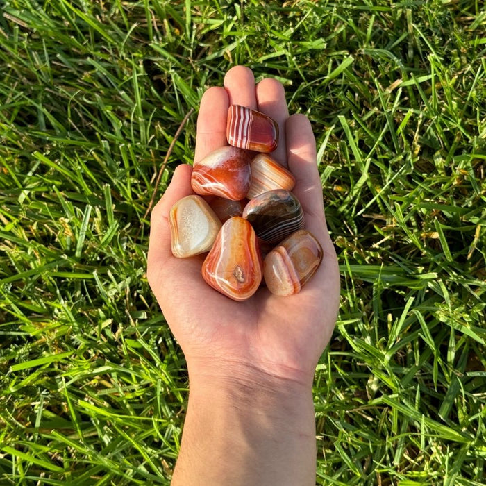 Carnelian Tumbled